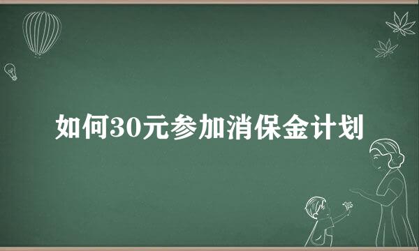 如何30元参加消保金计划
