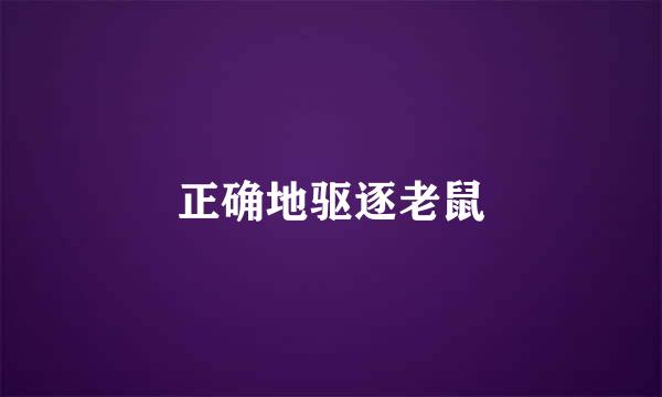 正确地驱逐老鼠