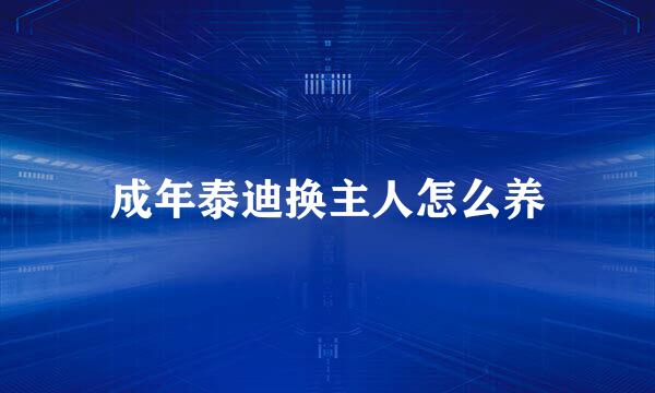 成年泰迪换主人怎么养