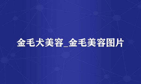 金毛犬美容_金毛美容图片