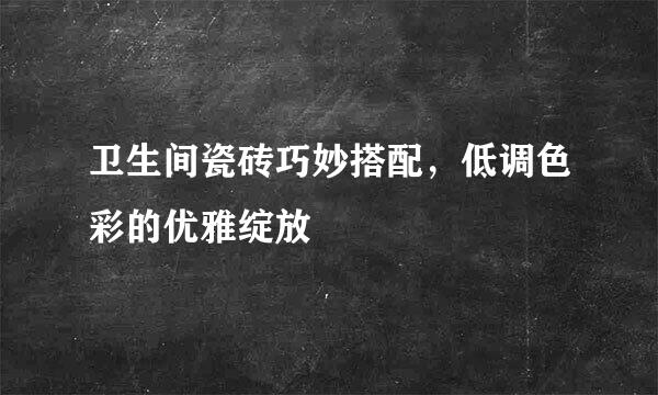 卫生间瓷砖巧妙搭配，低调色彩的优雅绽放