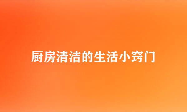 厨房清洁的生活小窍门