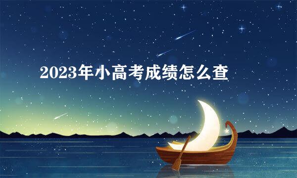 2023年小高考成绩怎么查