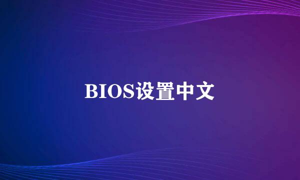 BIOS设置中文