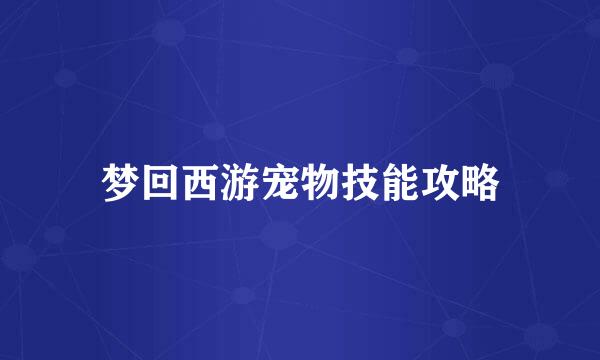 梦回西游宠物技能攻略