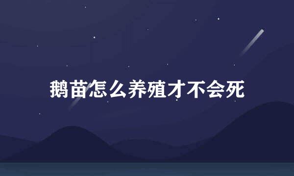 鹅苗怎么养殖才不会死