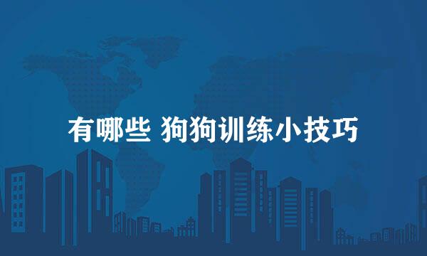 有哪些 狗狗训练小技巧