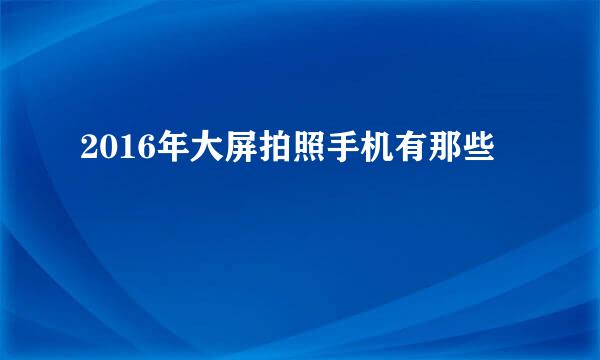 2016年大屏拍照手机有那些