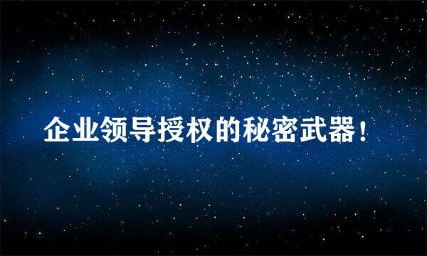 企业领导授权的秘密武器！