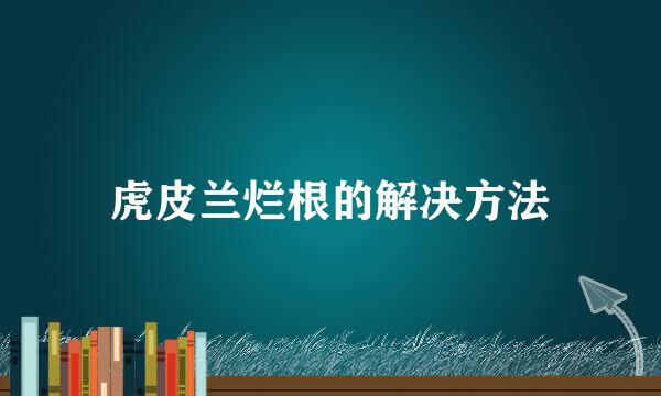 虎皮兰烂根的解决方法