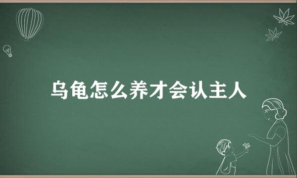 乌龟怎么养才会认主人