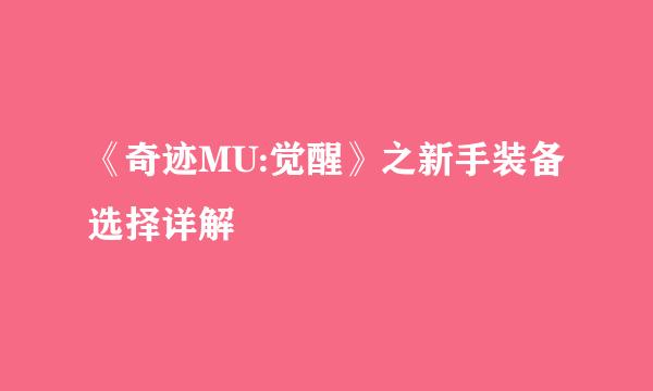 《奇迹MU:觉醒》之新手装备选择详解