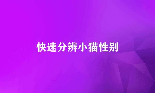 快速分辨小猫性别
