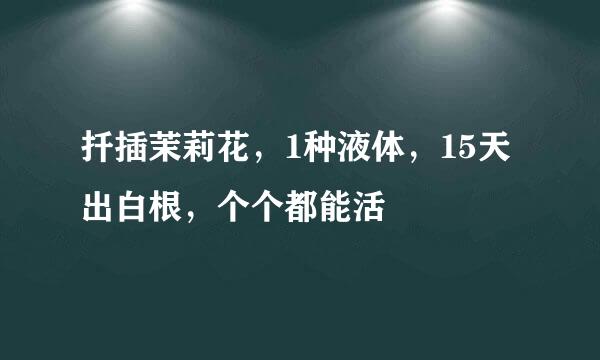扦插茉莉花，1种液体，15天出白根，个个都能活