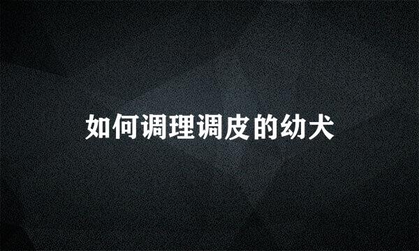 如何调理调皮的幼犬