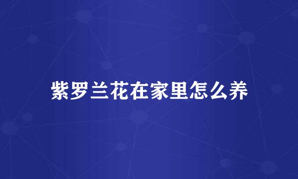 紫罗兰花在家里怎么养
