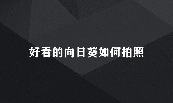 好看的向日葵如何拍照