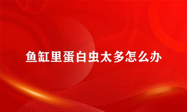 鱼缸里蛋白虫太多怎么办