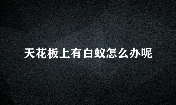 天花板上有白蚁怎么办呢