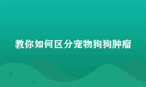 教你如何区分宠物狗狗肿瘤