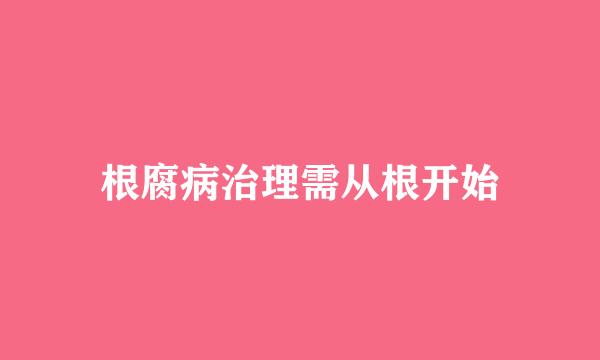 根腐病治理需从根开始