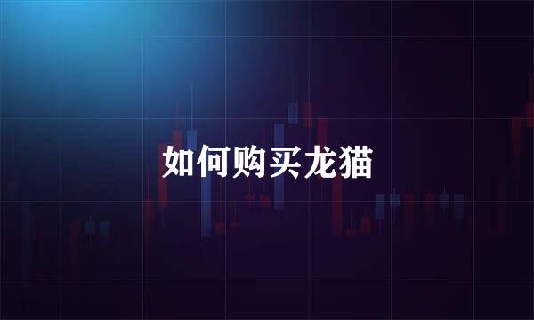 如何购买龙猫