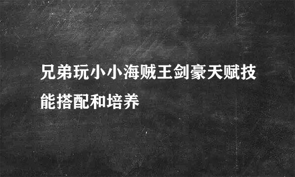 兄弟玩小小海贼王剑豪天赋技能搭配和培养