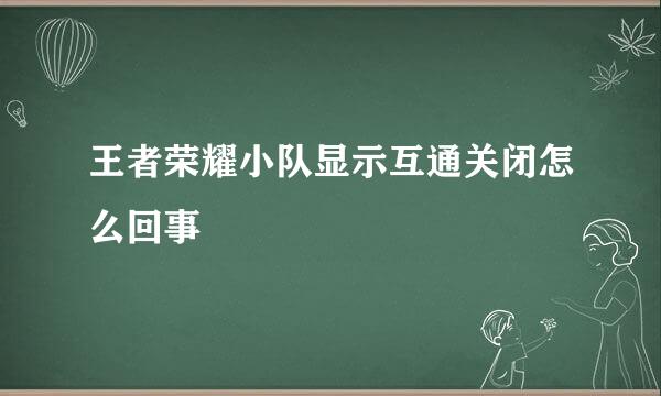 王者荣耀小队显示互通关闭怎么回事