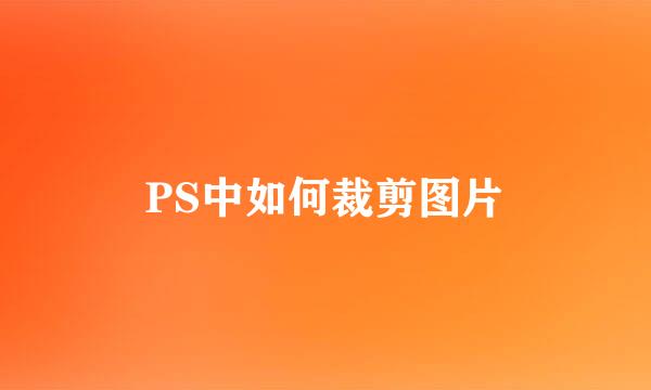 PS中如何裁剪图片