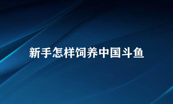 新手怎样饲养中国斗鱼
