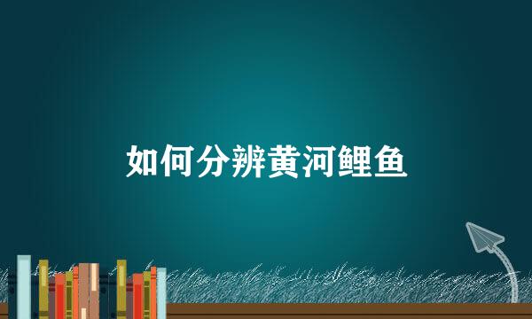 如何分辨黄河鲤鱼
