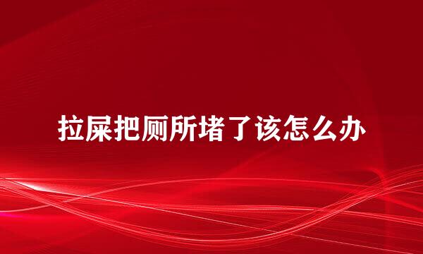 拉屎把厕所堵了该怎么办