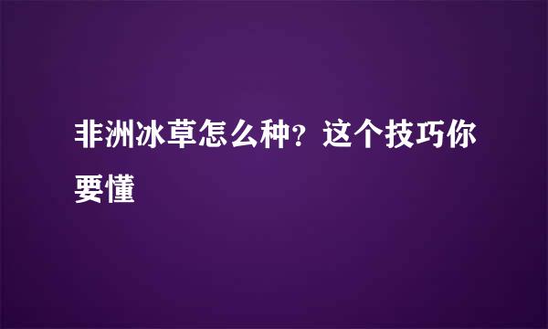 非洲冰草怎么种?这个技巧你要懂