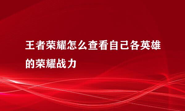 王者荣耀怎么查看自己各英雄的荣耀战力