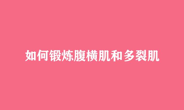 如何锻炼腹横肌和多裂肌