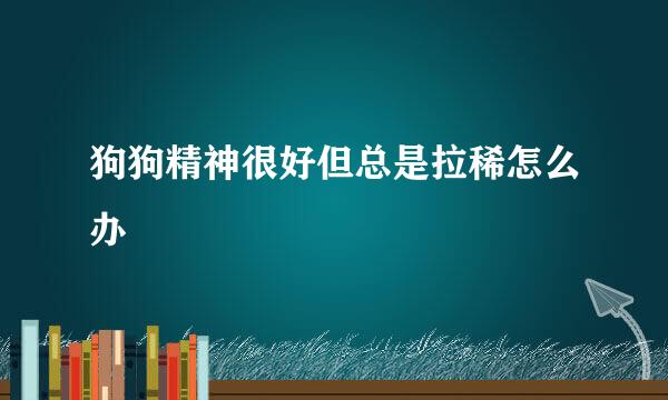 狗狗精神很好但总是拉稀怎么办