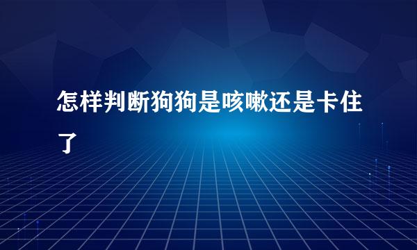 怎样判断狗狗是咳嗽还是卡住了