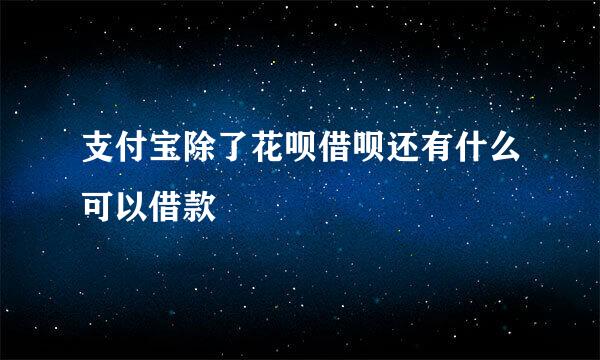 支付宝除了花呗借呗还有什么可以借款