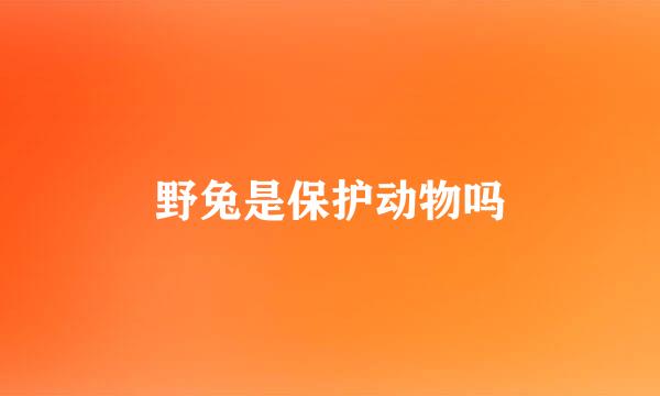 野兔是保护动物吗