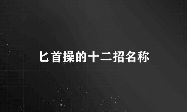 匕首操的十二招名称