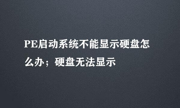 PE启动系统不能显示硬盘怎么办；硬盘无法显示