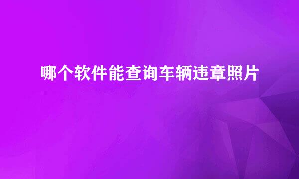哪个软件能查询车辆违章照片
