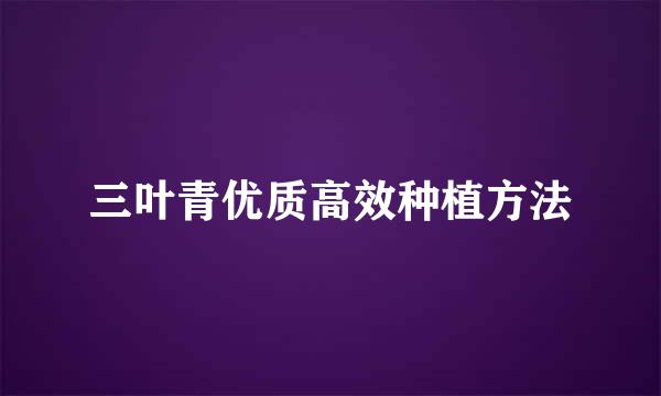 三叶青优质高效种植方法