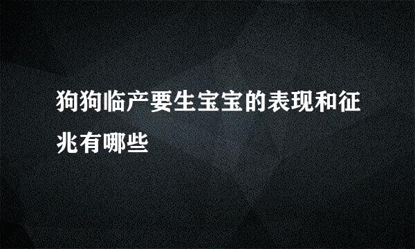 狗狗临产要生宝宝的表现和征兆有哪些