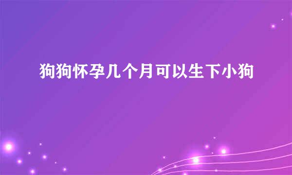 狗狗怀孕几个月可以生下小狗