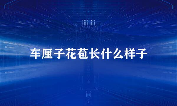 车厘子花苞长什么样子