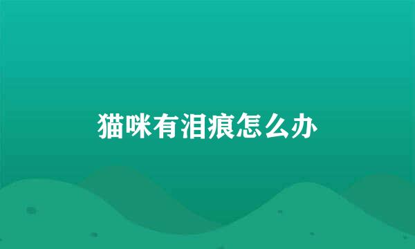 猫咪有泪痕怎么办
