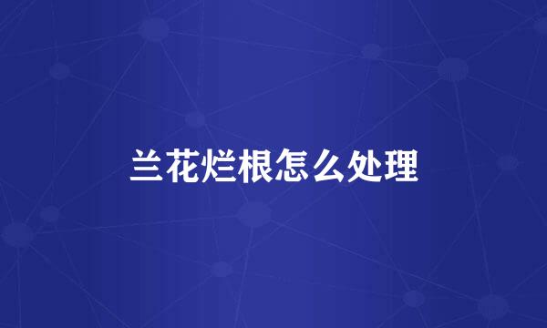 兰花烂根怎么处理