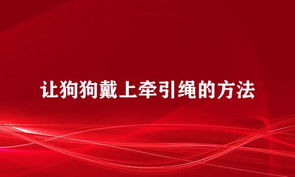 让狗狗戴上牵引绳的方法