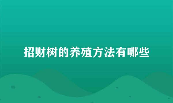 招财树的养殖方法有哪些